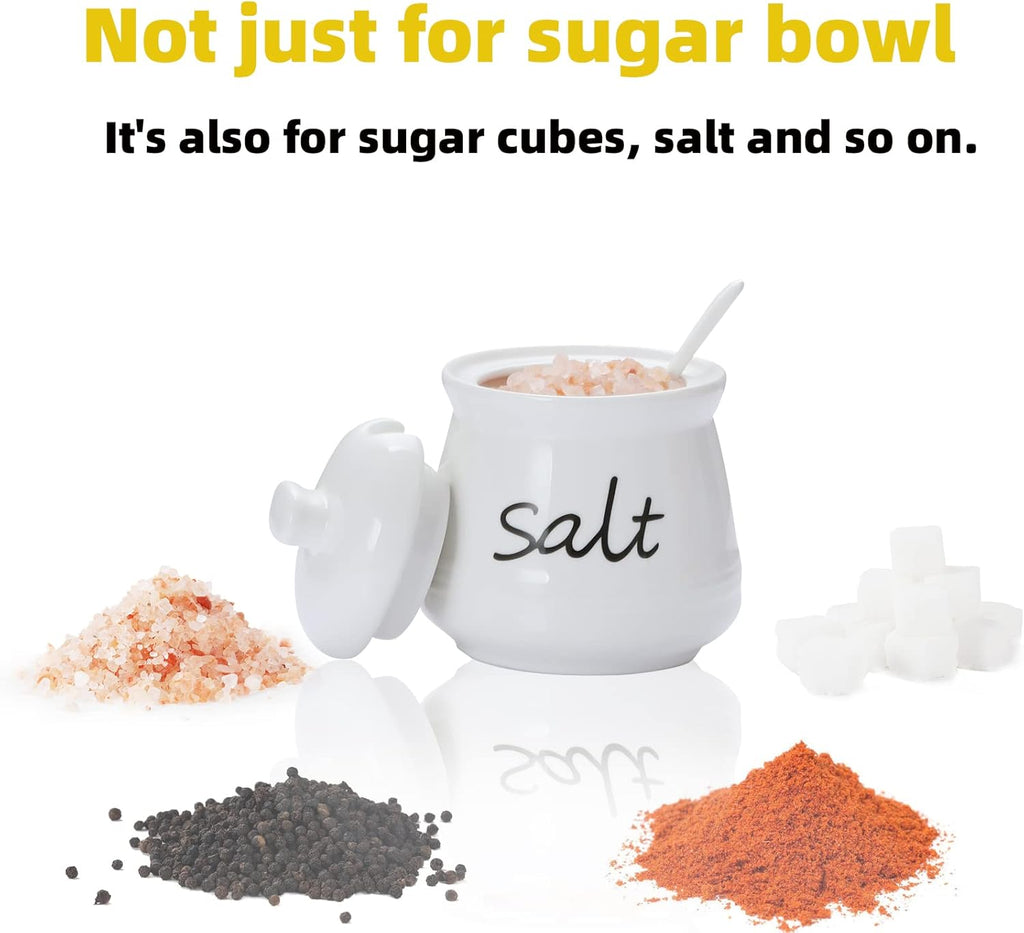 ONTUBE Ceramic Salt Bowl with Lid and Spoon 12oz (White)
