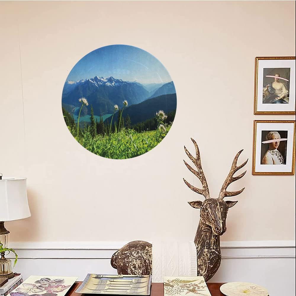 Decorative Plates, Nature Print Ornament, Diablo Lake Mountains Dandelions Thistle, 10 Inch, 1 Plate with 1 Display Stand, Green Sky Blue