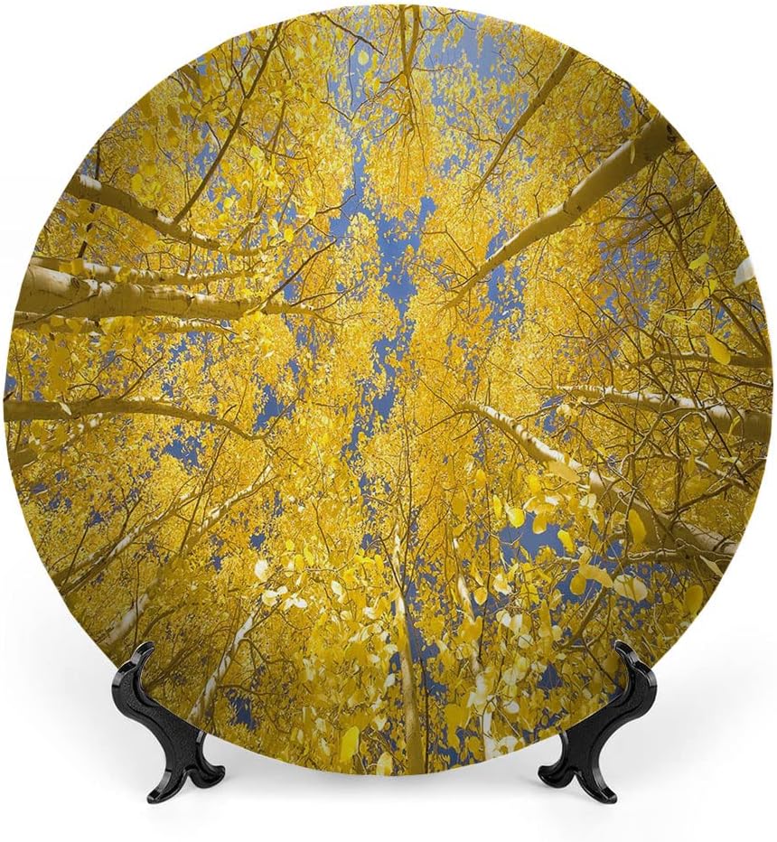 Ceramic Plates, Yellow and Blue Decorative Ceramic Plates, Looking Skyward Amongst The Patch of Sun lit Aspen, 10 Inch, Household Plates Decorative, Yellow