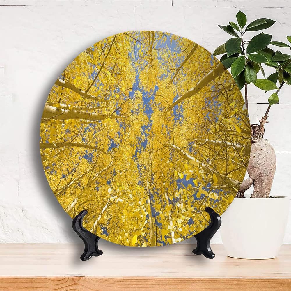 Decorative Plates, Yellow and Blue Print Ornament, Looking Skyward Amongst The Patch of Sun lit Aspen, 8 Inch, Kitchen Wall Decor, Yellow