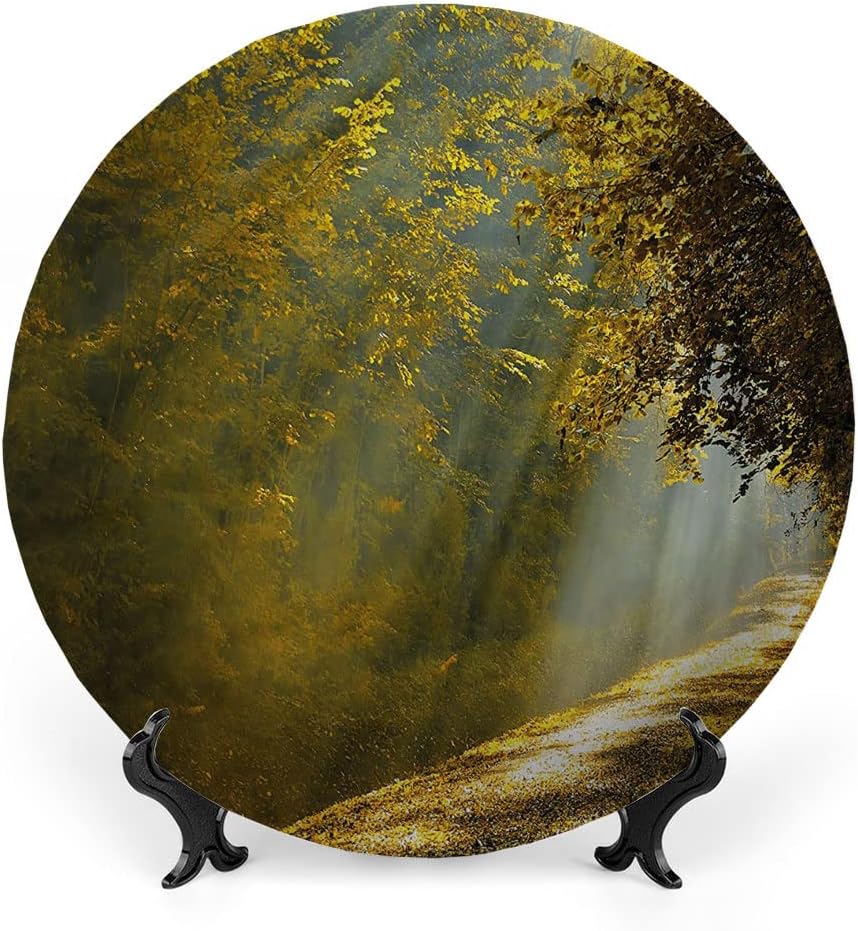 Ceramic Plates, Nature Decorative Ceramic Plates, Forest Pathway Sun Rays Fall, 8 Inch, for Dining, Parties, Wedding, Multicolor