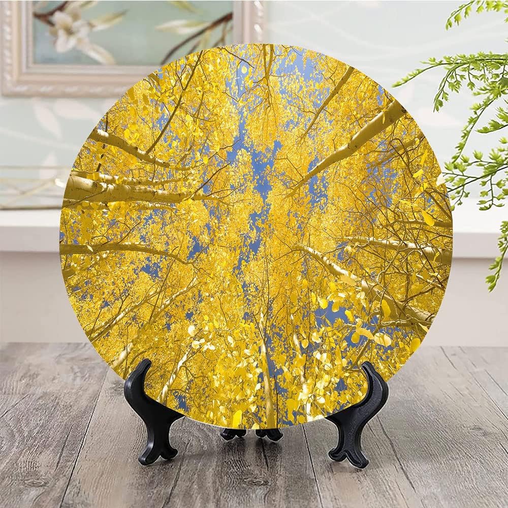 Ceramic Plates, Yellow and Blue Decorative Ceramic Plates, Looking Skyward Amongst The Patch of Sun lit Aspen, 10 Inch, Household Plates Decorative, Yellow